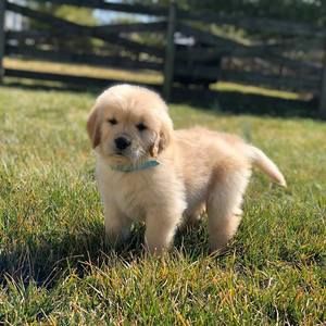 Meet your Posher, Kellie